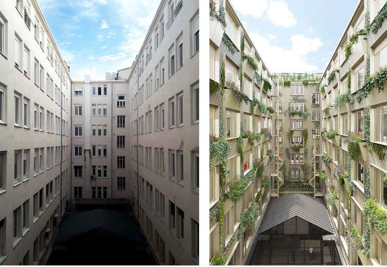 Le precadre en renovation